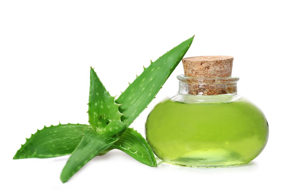 Aloe vera extract - Proctonic cream ingredient
