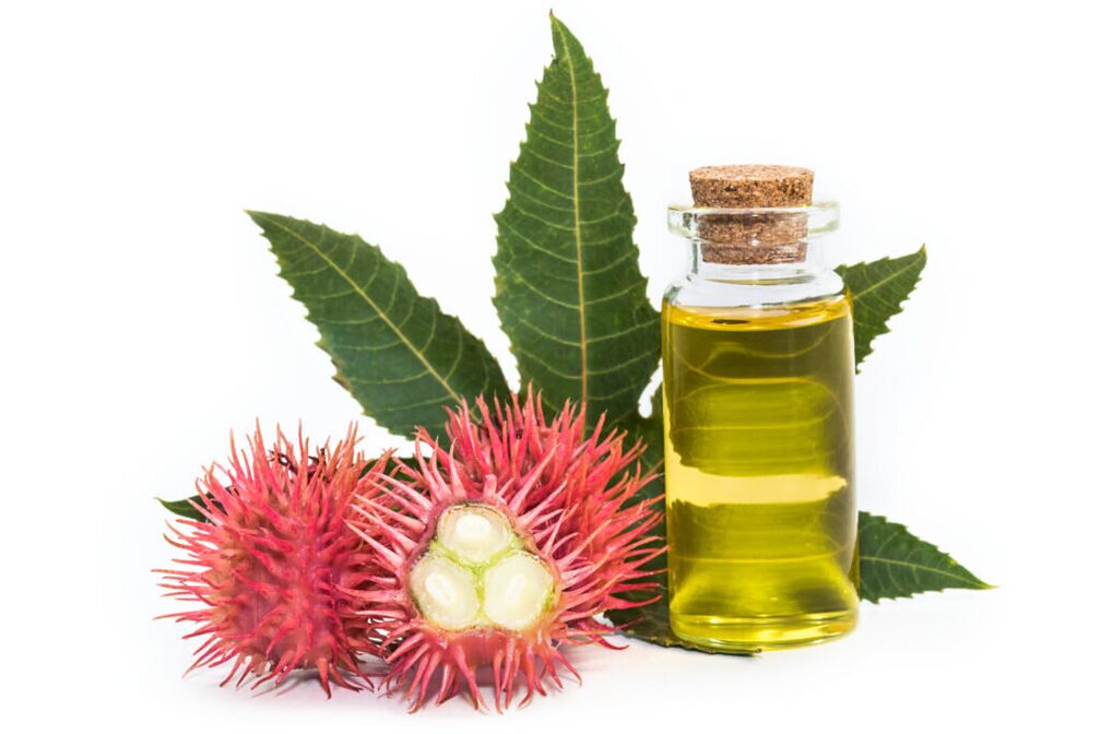 Castor oil - ingredient of cream Proctonic